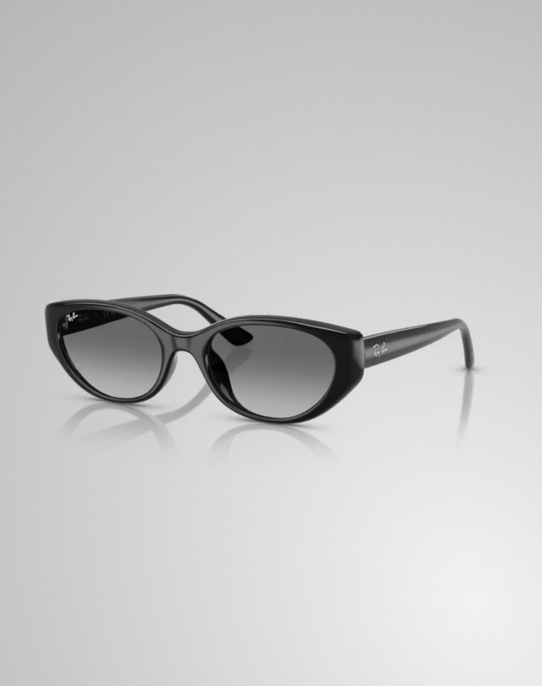 Ray-Ban 0RB4457D-667711 – Lunettes de soleil pillow noir