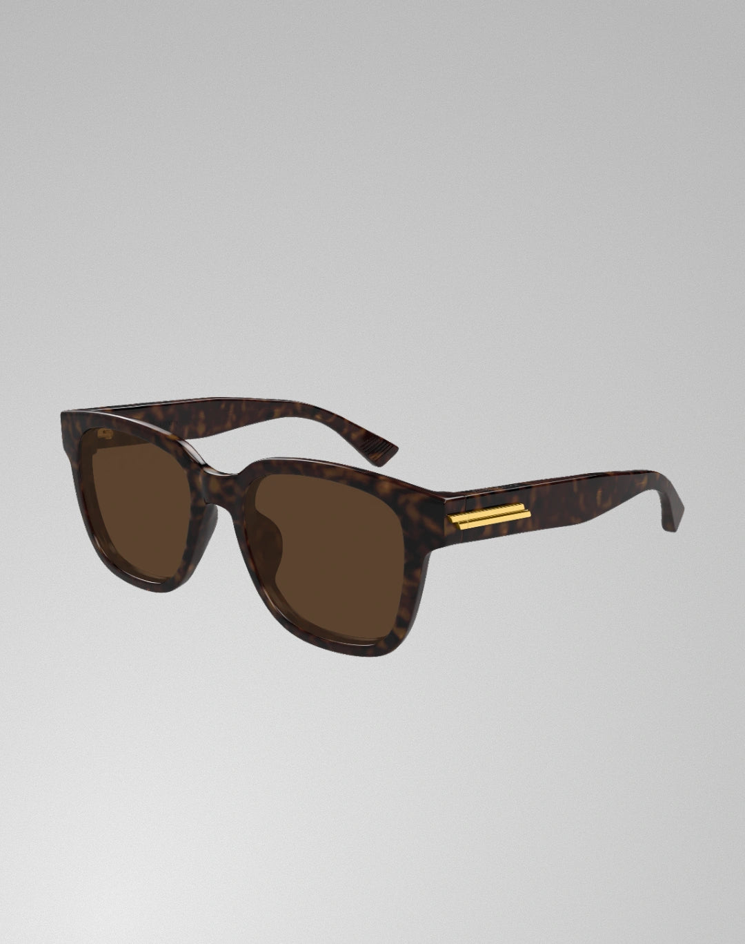 Bottega Veneta BV1461SK-002 – Lunettes de soleil oversize havane (L)