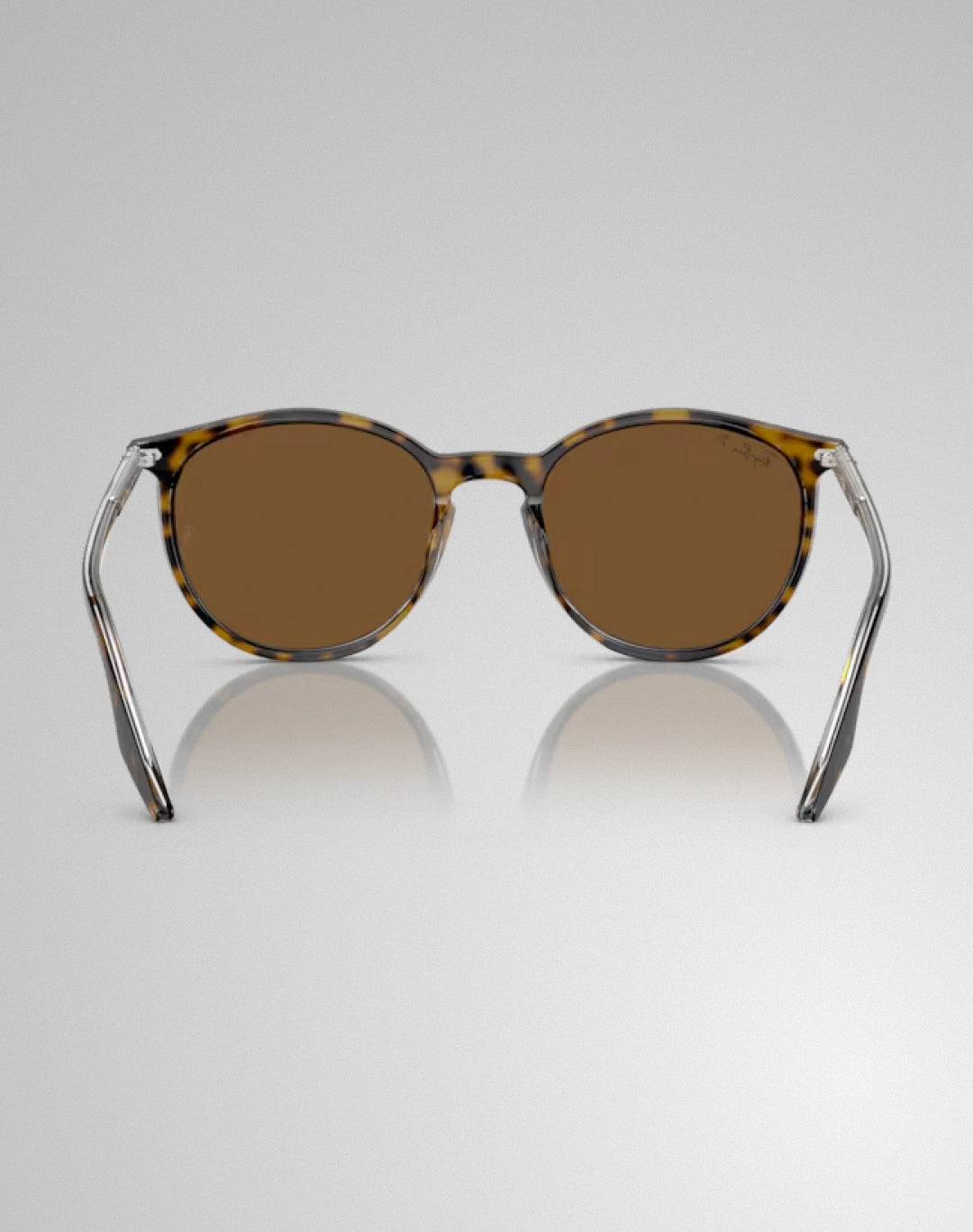 Ray-Ban RB2204-139357 – Lunettes de soleil pantos havana sur transparent