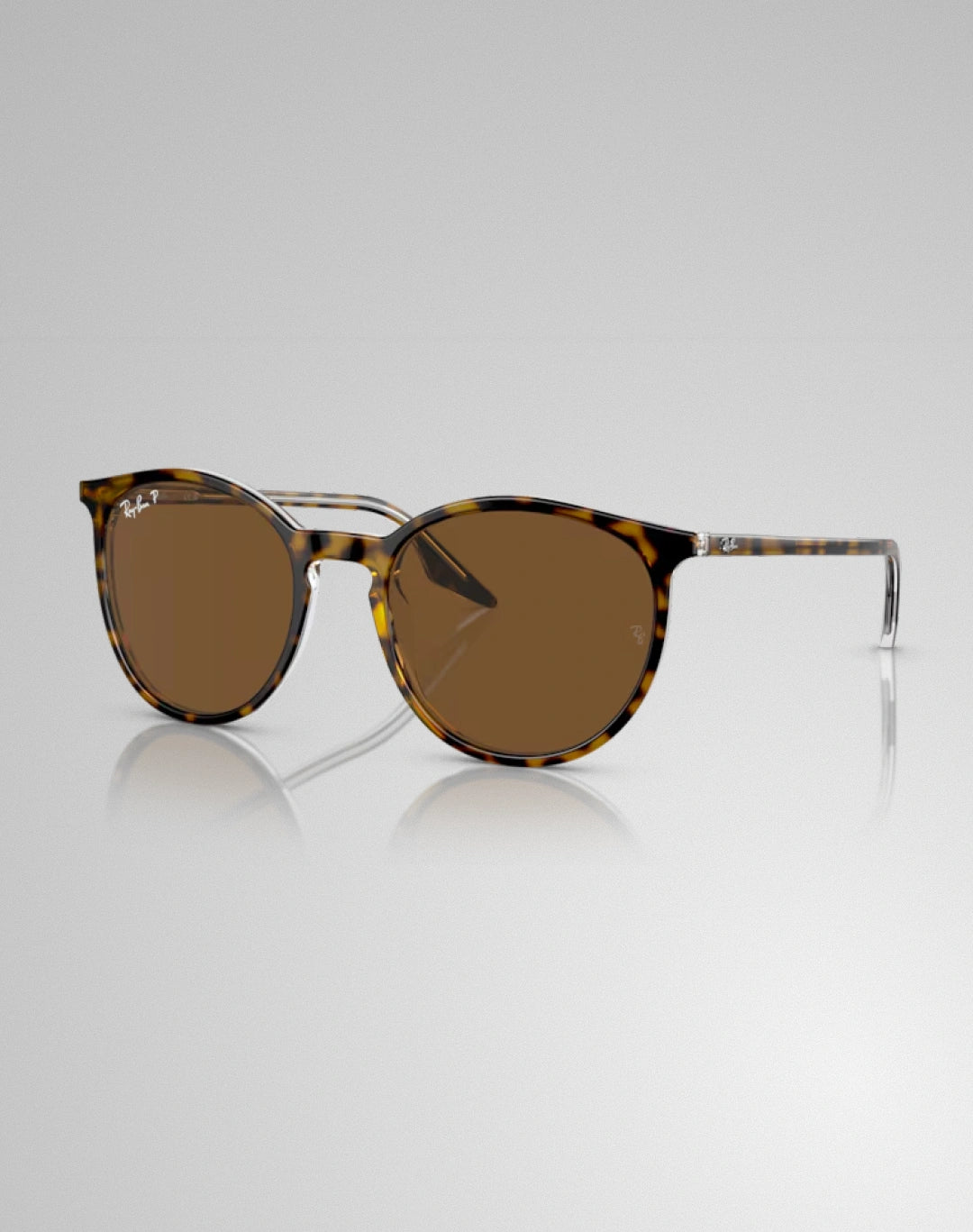 Ray-Ban RB2204-139357 – Lunettes de soleil pantos havana sur transparent