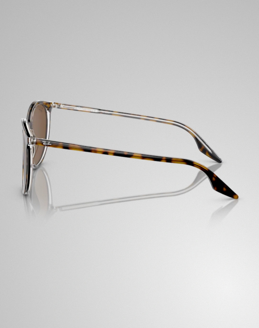 Ray-Ban RB2204-139357 – Lunettes de soleil pantos havana sur transparent