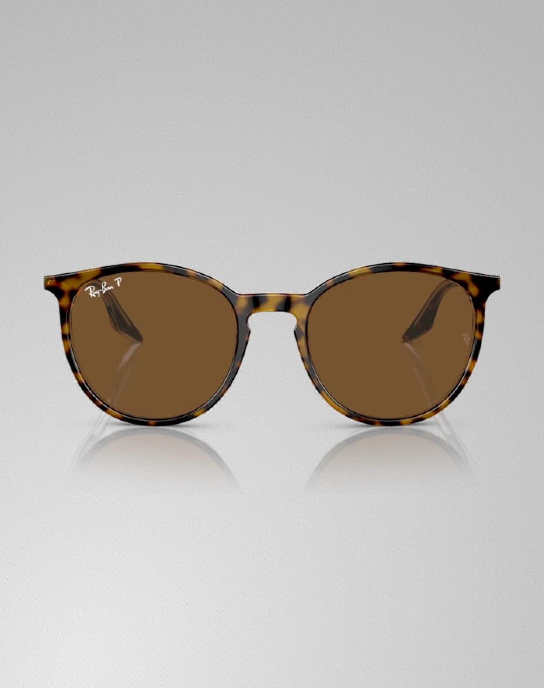 Ray-Ban RB2204-139357 – Lunettes de soleil pantos havana sur transparent